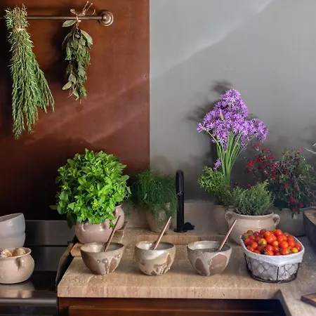 Auli Luxury Retreat - Adults Only Hotel Pollença